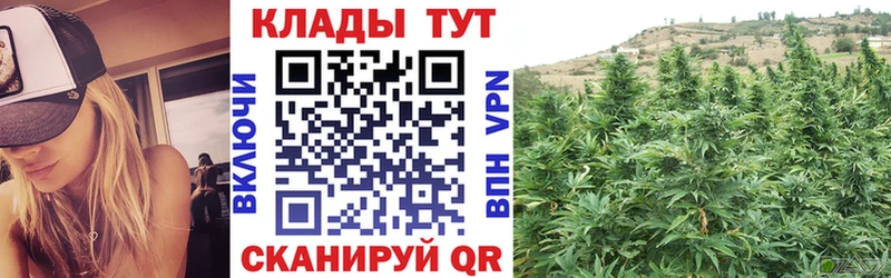 Сколько стоит Няндома АМФЕТАМИН  Псилоцибиновые грибы  Канабис  Гашиш 