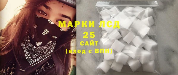 spice Гусев