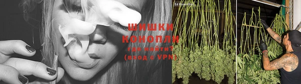 Альфа ПВП Гусиноозёрск