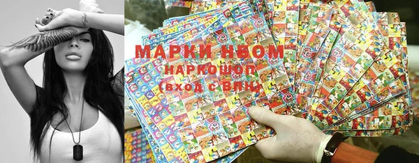 крисы Магадан