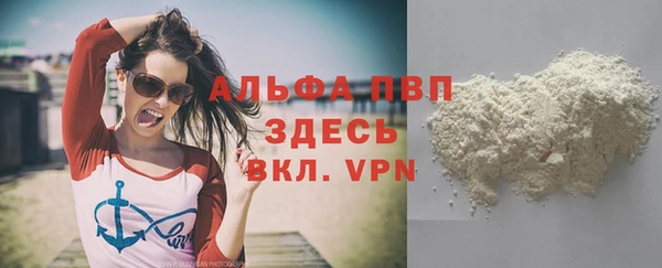 spice Гусев