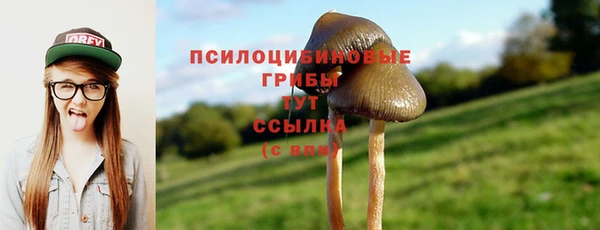 тгк Лихославль
