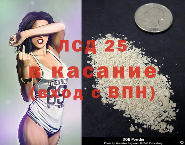 spice Гусев