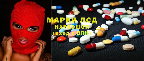 прущие грибы Майский