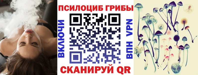 сайты даркнета формула  Няндома  Псилоцибиновые грибы Magic Shrooms 